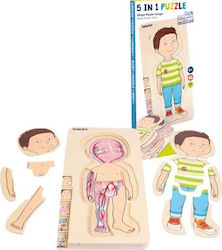 Holz Kinder Steckpuzzle Boy für 4++ Jahre 29pcs Beleduc Holz Kinder Steckpuzzle Boy für 4++ Jahre 29pcs Beleduc