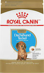 Royal Canin Puppy Dachshund Teckel 1.5kg Trockenfutter für Welpen kleiner Rassen mit Gemüse und Reis