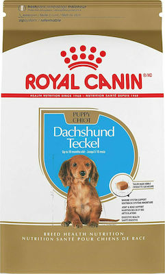 Royal Canin Puppy Dachshund Teckel 1.5kg Hrană Uscată pentru Cățeluși de Rase Mici cu Legume și Orez