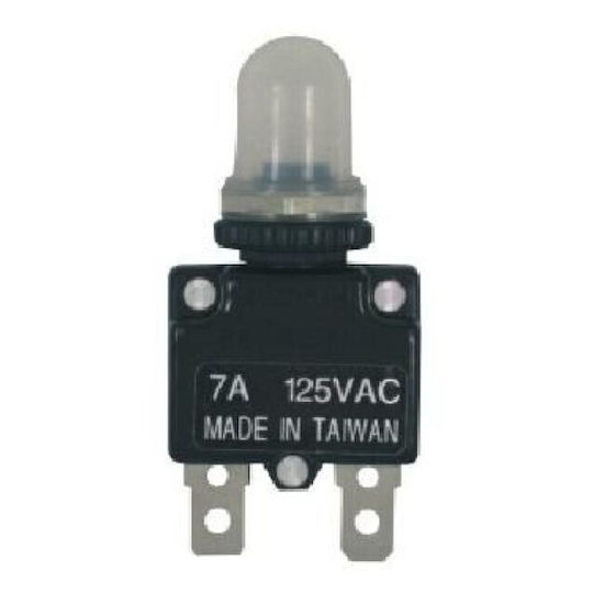 Eval Boat Automatic Fuse 60A