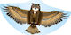 Gunther Kite Owl Plastic with Twine 122x68cm 1pcs
