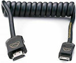 Atomos Καλώδιο AtomFLEX HDMI to Mini-HDMI Coiled (12 to 24")