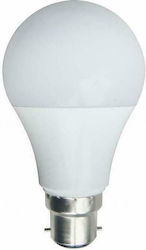 Eurolamp LED Lampen für Fassung B22 und Form A60 Warmes Weiß 810lm 1Stück
