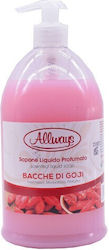 Allways Liquid Soap with Pump 1000ml