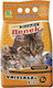 Super Benek Certech Super Benek Universal Natural Bentonite Cat Litter 5lt