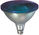 Eurolamp Λάμπα LED για Ντουί E27 και Σχήμα PAR38 Μπλε 1320lm