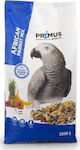 Benelux Primus African Parrots Birds Food for Big Parrots 2.5kg