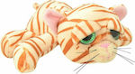 Wild Planet Plush Γάτα Tabby 25 cm