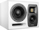 Hedd Type 20 MK2 Studio Monitor 7" 300W Stück Weiß