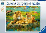 Λιοντάρια της Σαβάνας Puzzle 2D 500 Pieces