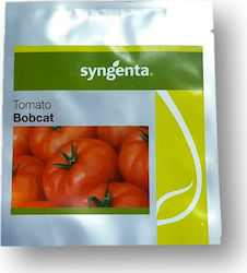 Syngenta Bobcat F1 Seeds Tomatoς 1000pcs