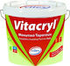 Vitex Vitacryl Elastomer Acrilyc Insulating Sealing 0.75lt Red