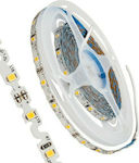 GloboStar Bandă LED Alimentare 12V cu Lumină Alb Cald Lungime 5m și 60 LED-uri pe Metru SMD2835