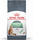 Royal Canin Digestive Care Hrană Uscată pentru Pisici Adulte cu Tract Gastrointestinal Sensibil cu Pește 10kg