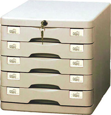 Groovy Plastic Desktop Drawer 5 Number of Spit With Lock 28.5x36.5x28cm Gray 0.22.113