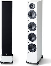Paradigm Monitor SE 6000F Boden Passive Hi-Fi-Lautsprecher Paradigm Monitor SE 6000F Boden Passive Hi-Fi-Lautsprecher