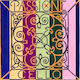 Pirastro Cello Passione Steel 4/4 Medium D (Re)
