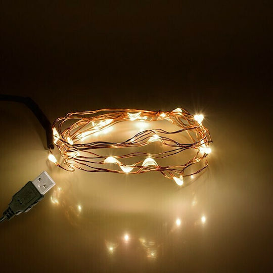 20 Lights LED 2m. Warm White USB in String 1pcs