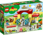 Lego Duplo: Horse Stable and Pony Care για 2+ ετών