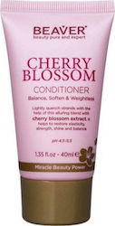 Beaver Cherry Blossom 40ml