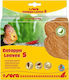 Sera Catappa Leaves S Aquarium Water Treatment for Environment Protection