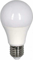 Eurolamp LED Bulbs for Socket E27 and Shape A60 Warm White 480lm 1pcs