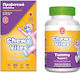 Chewy Vites Tummy Support Supplement with Probi...