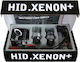 Dectane Xenon Σετ Φωτισμού Αυτοκινήτου H11 12V 8000K Ψυχρό Λευκό