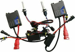 Bizzar Car Xenon Kit Normal HID H8 35W 12V 8000K Cold White