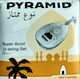 Pyramid Arabic Super-Oud 11-String Silver Plated Wound Special Single Nylon Strings for Oud 11 Pieces Arabic Tuning