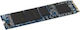 Dell SSD 256GB M.2 Mit PCI Express 3.0 Verbindung