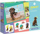 Board Game Edukit 4 in 1 Puppies for 1+ Players 3+ Years Old (EN) Clementoni