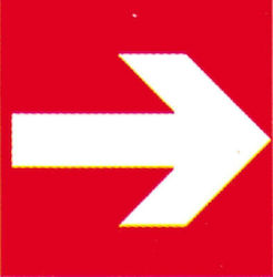 Next Schild PP "Brandschutz" 15x20cm Richtig