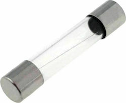 Tele Safety Cylindrical Glass 6x32mm 4A (FLG-4) 1pcs