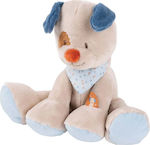 Nattou Plush Dog Jim 10 cm