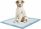 Nunbell Pet Επιδαπέδια Πάνα Σκύλου 60x60cm 10τμχ