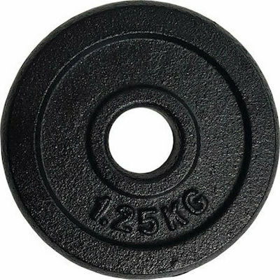 Iron Weight Disk 1,25kg Scheibenset Metall 1 x 1.25kg Ø28mm