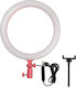 Godox LR120P Ringlicht 30cm 3000 - 6000K mit Handyhalter Pink