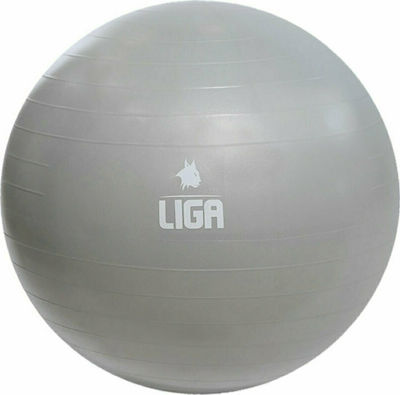 Liga Sport 150808 Pilates Ball 65cm 1.1kg Gray
