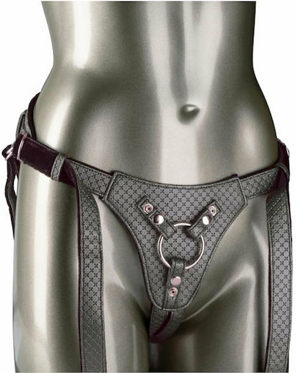Calexotics Her Royal Harness The Regal Queen Gurtzeug in Schwarz Farbe