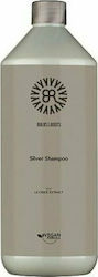Bulbs & Roots Sampon de Par Păstrarea Culorii 1000ml