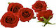Iliadis Τεχνητό Φυτό Τριαντάφυλλο Κεφάλι Φ9 εκ. 24τεμ. Κόκκινο 9cm 24τμχ