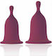 Rianne S Menstrual Cup Femcare Set aus Κύπελλα Περιόδου Rosa
