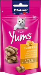 Vitakraft Cat Yums Λιχουδιές Λιχουδιές Γεμιστές με Τυρί για Ενήλικες Γάτες 40gr Vitakraft Cat Yums Λιχουδιές Λιχουδιές Γεμιστές με Τυρί για Ενήλικες Γάτες 40gr