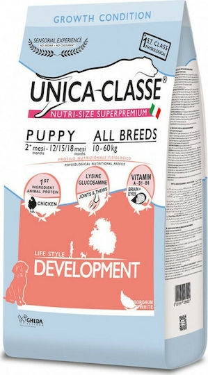 Gheda Unica Classe 12kg Hrană Uscată pentru Căţei cu Pui
