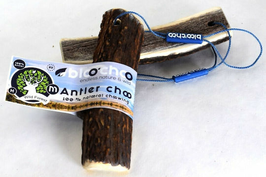 Antler BlooChoo Κέρατο Σκύλου Μεσαίων Φυλών από Ελάφι 70gr