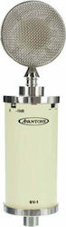 Avantone Pro BV-1 Ενσύρματο Μικρόφωνο Ζώνης