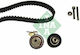 INA Set of Car Engine Belt for Peugeot 206 / 307 Citroen C4 530041910
