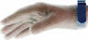 Valgobbia Gloves Inox Large