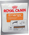 Royal Canin Hundesnack Energy Dog Treat with Rice and Poultry 50gr 1801015